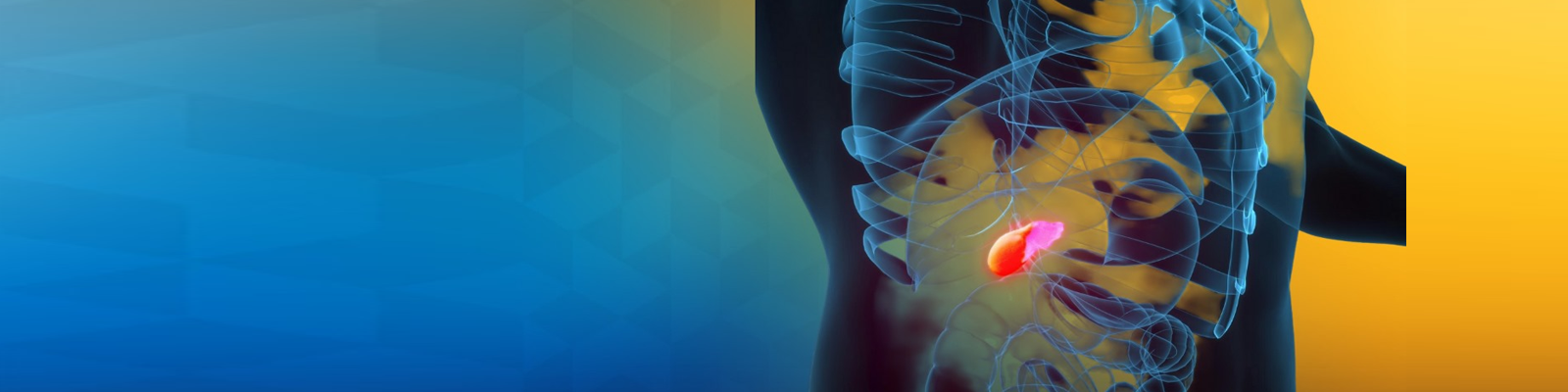 Gallbladder-Treatment