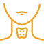 thyroid